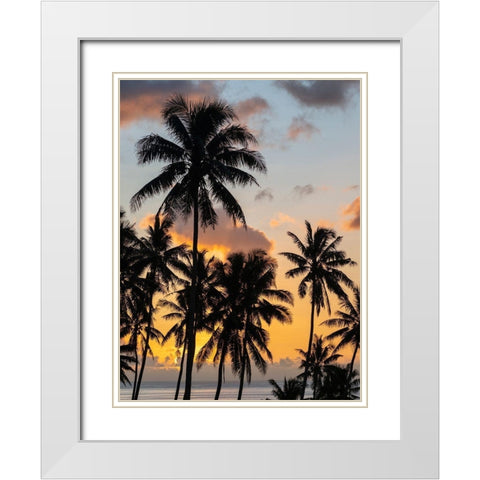 Fiji-Taveuni Island Beach sunset with palm trees White Modern Wood Framed Art Print with Double Matting by Merrill Images