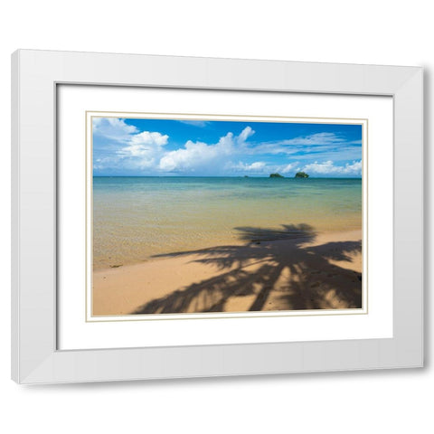 Fiji-Taveuni Island Silhouette of a palm tree on sandy beach with blue sky White Modern Wood Framed Art Print with Double Matting by Merrill Images