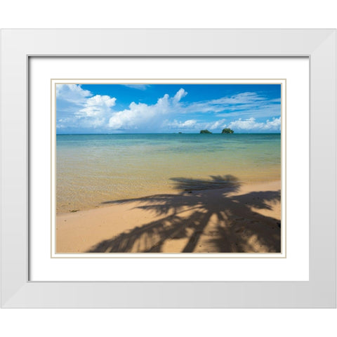 Fiji-Taveuni Island Silhouette of a palm tree on sandy beach with blue sky White Modern Wood Framed Art Print with Double Matting by Merrill Images