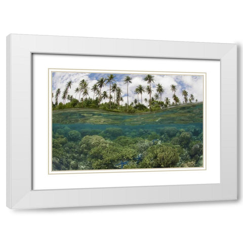 Solomon Islands Reef and island palm trees White Modern Wood Framed Art Print with Double Matting by Shimlock, Jones