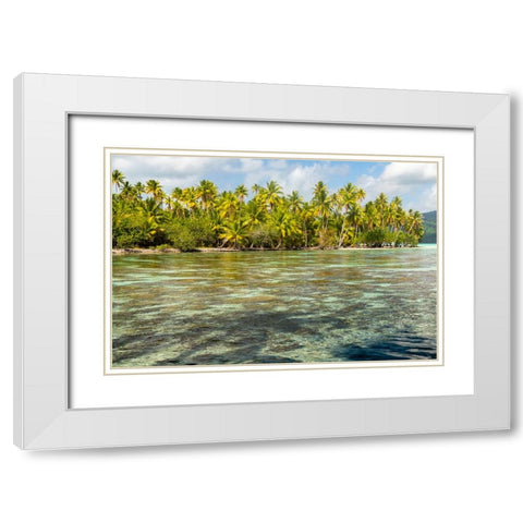 French Polynesia- Tahaa. Ocean corals and tropical forest. White Modern Wood Framed Art Print with Double Matting by Jaynes Gallery