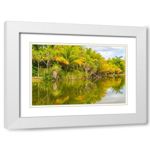 French Polynesia- Tahaa. Tropical lagoon and jungle. White Modern Wood Framed Art Print with Double Matting by Jaynes Gallery