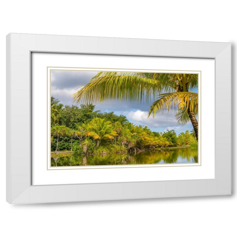 French Polynesia- Tahaa. Tropical lagoon and jungle. White Modern Wood Framed Art Print with Double Matting by Jaynes Gallery