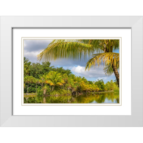 French Polynesia- Tahaa. Tropical lagoon and jungle. White Modern Wood Framed Art Print with Double Matting by Jaynes Gallery