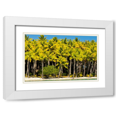 French Polynesia- Bora Bora. Palm trees and beach. White Modern Wood Framed Art Print with Double Matting by Jaynes Gallery