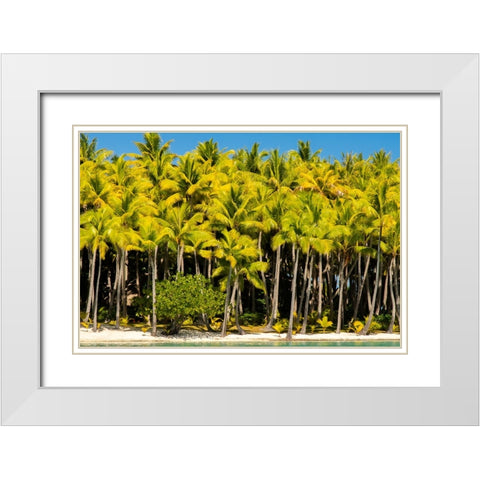 French Polynesia- Bora Bora. Palm trees and beach. White Modern Wood Framed Art Print with Double Matting by Jaynes Gallery