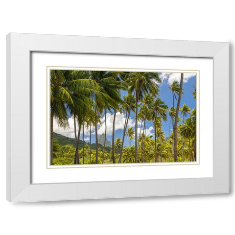 French Polynesia- Moorea. Bali Hai mountain and palm trees. White Modern Wood Framed Art Print with Double Matting by Jaynes Gallery