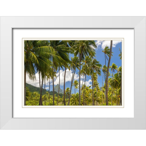 French Polynesia- Moorea. Bali Hai mountain and palm trees. White Modern Wood Framed Art Print with Double Matting by Jaynes Gallery