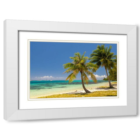 French Polynesia- Moorea. Landscape with moored boats and shore. White Modern Wood Framed Art Print with Double Matting by Jaynes Gallery