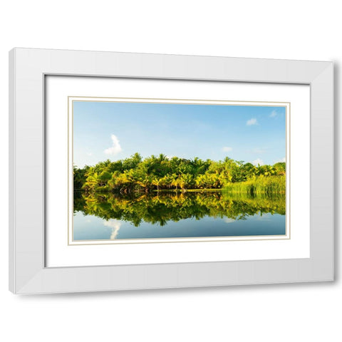 French Polynesia- Tahaa. Tropical jungle reflects in lagoon. White Modern Wood Framed Art Print with Double Matting by Jaynes Gallery