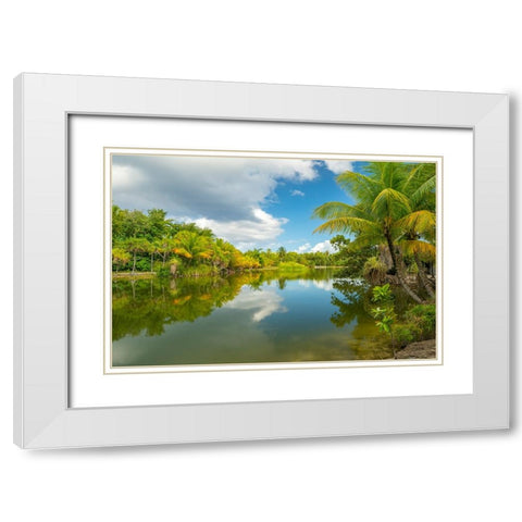French Polynesia- Tahaa. Tropical jungle reflects in lagoon. White Modern Wood Framed Art Print with Double Matting by Jaynes Gallery