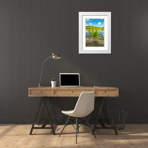 French Polynesia- Tahaa. Tropical jungle reflects in lagoon. White Modern Wood Framed Art Print with Double Matting by Jaynes Gallery
