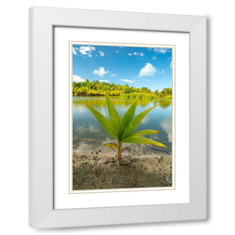 French Polynesia- Tahaa. Tropical jungle reflects in lagoon. White Modern Wood Framed Art Print with Double Matting by Jaynes Gallery