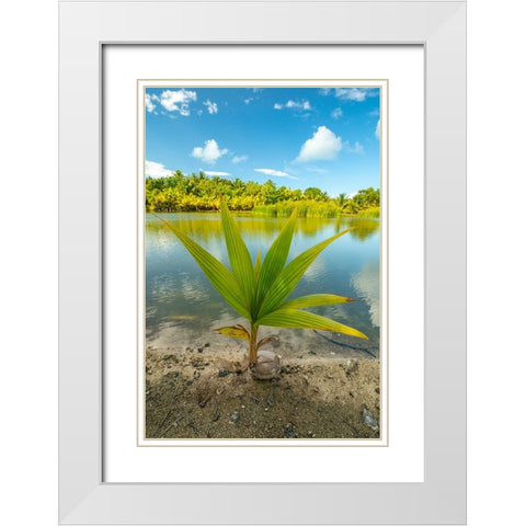 French Polynesia- Tahaa. Tropical jungle reflects in lagoon. White Modern Wood Framed Art Print with Double Matting by Jaynes Gallery