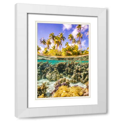 French Polynesia- Tahaa. Under/above water split of coral and palm trees. White Modern Wood Framed Art Print with Double Matting by Jaynes Gallery