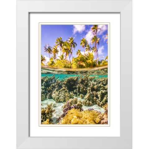 French Polynesia- Tahaa. Under/above water split of coral and palm trees. White Modern Wood Framed Art Print with Double Matting by Jaynes Gallery