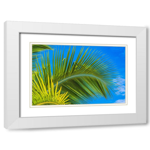 Green palm fronds-Moorea-Tahiti-French Polynesia White Modern Wood Framed Art Print with Double Matting by Perry, William