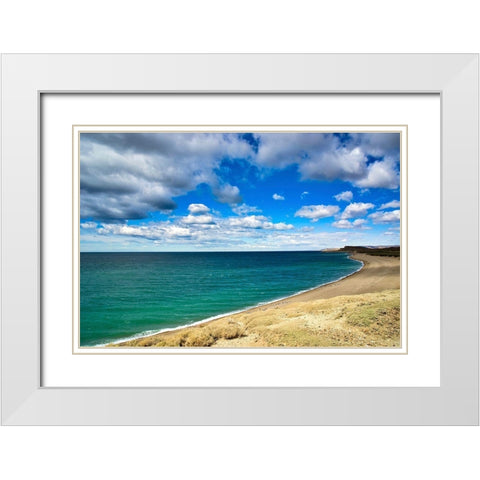 Argentina-Santa Cruz Monte Leon National Park-the only coastal park in Argentina White Modern Wood Framed Art Print with Double Matting by Molinari, Michele