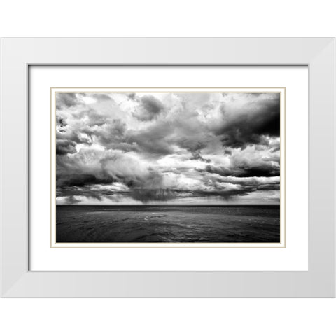 Argentina-Santa Cruz Monte Leon National Park-the only coastal park in Argentina White Modern Wood Framed Art Print with Double Matting by Molinari, Michele