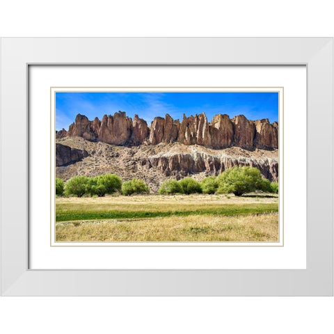 Argentina-Santa Cruz-Valle del Rio Pinturas White Modern Wood Framed Art Print with Double Matting by Molinari, Michele