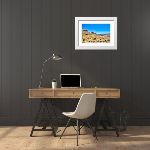 Argentina-Santa Cruz Alero Charcamata (cave paintings site) and surroundings White Modern Wood Framed Art Print with Double Matting by Molinari, Michele