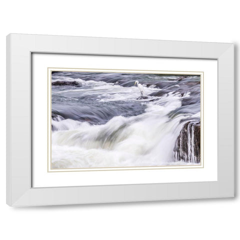 Brazil-Iguazu Falls Landscape of waterfalls  White Modern Wood Framed Art Print with Double Matting by Jaynes Gallery