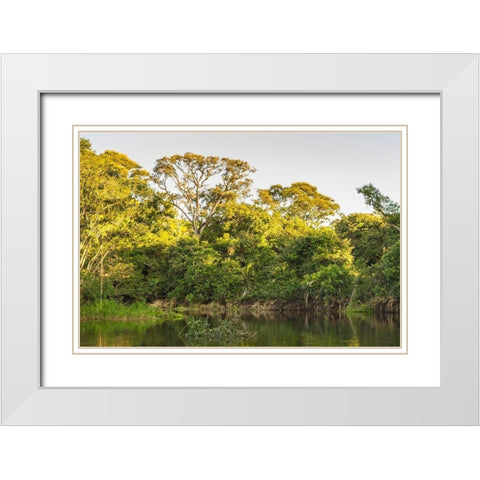 Brazil-Pantanal Cuiaba River landscape  White Modern Wood Framed Art Print with Double Matting by Jaynes Gallery