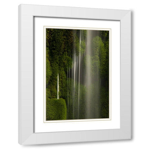 Iguazu Falls- Brazil- South America White Modern Wood Framed Art Print with Double Matting by McDonald, Joe and Maryann