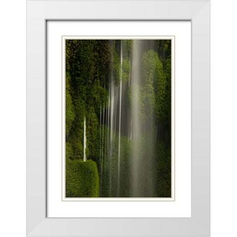 Iguazu Falls- Brazil- South America White Modern Wood Framed Art Print with Double Matting by McDonald, Joe and Maryann