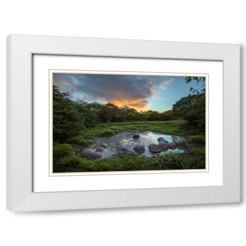 Galapagos giant tortoise gathering in small pond at sunset Genovesa Island-Galapagos Islands White Modern Wood Framed Art Print with Double Matting by Jones, Adam
