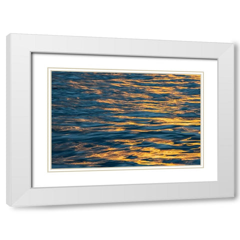 Sunset light on waters off Santa Cruz Island-Galapagos Islands-Ecuador White Modern Wood Framed Art Print with Double Matting by Jones, Adam