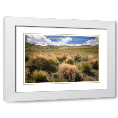 Paramo grass-Antisana Ecological Reserve-Ecuador White Modern Wood Framed Art Print with Double Matting by Jones, Adam