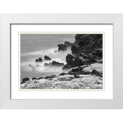 Rocky shoreline covered in Sesuvium-South Plaza Island-Galapagos Islands-Ecuador White Modern Wood Framed Art Print with Double Matting by Jones, Adam