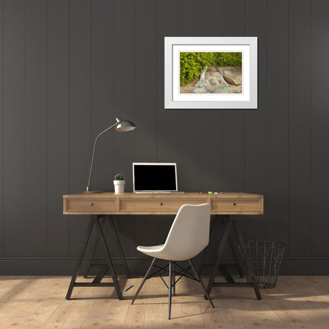 Ecuador, Galapagos NP Blue-footed booby pair White Modern Wood Framed Art Print with Double Matting by Illg, Cathy and Gordon