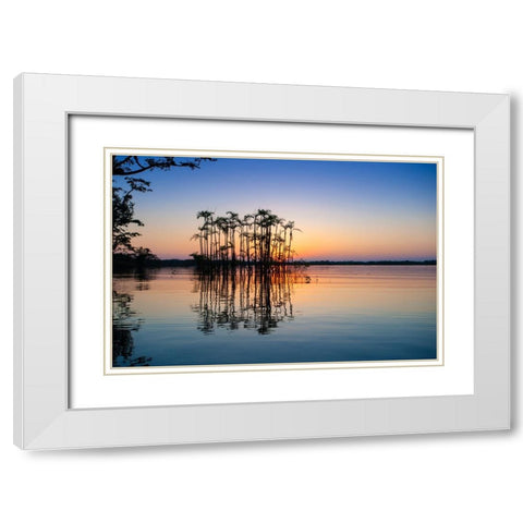 Equator in the Amazon rainforest- Palm trees in Laguna Grande. White Modern Wood Framed Art Print with Double Matting by Sederquist, Betty