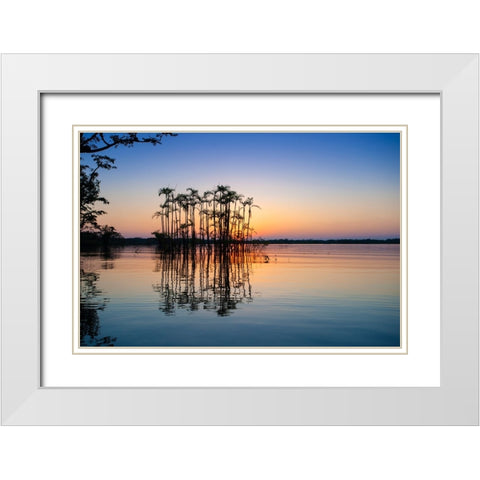 Equator in the Amazon rainforest- Palm trees in Laguna Grande. White Modern Wood Framed Art Print with Double Matting by Sederquist, Betty