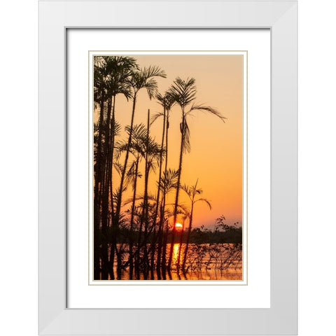 The sun sets at Latitude 0 during this equatorial sunset in the Amazon. White Modern Wood Framed Art Print with Double Matting by Sederquist, Betty