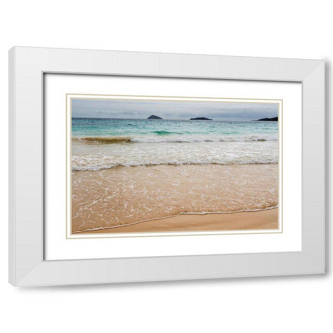 Floreana Island-Galapagos islands-Ecuador White Modern Wood Framed Art Print with Double Matting by Pitamitz, Sergio