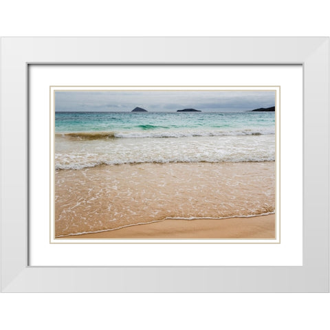 Floreana Island-Galapagos islands-Ecuador White Modern Wood Framed Art Print with Double Matting by Pitamitz, Sergio