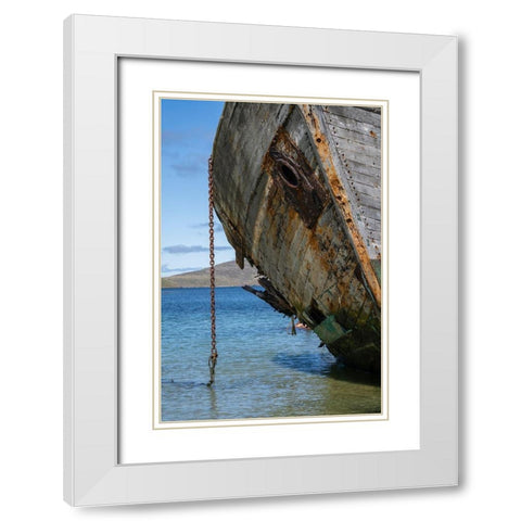 Falkland Islands-New Island Grounded and abandoned ship on shore  White Modern Wood Framed Art Print with Double Matting by Jaynes Gallery