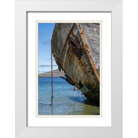 Falkland Islands-New Island Grounded and abandoned ship on shore  White Modern Wood Framed Art Print with Double Matting by Jaynes Gallery