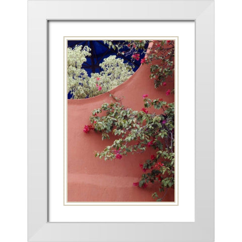 Mexico, Bougainvillea and stucco wall White Modern Wood Framed Art Print with Double Matting by Rotenberg, Nancy