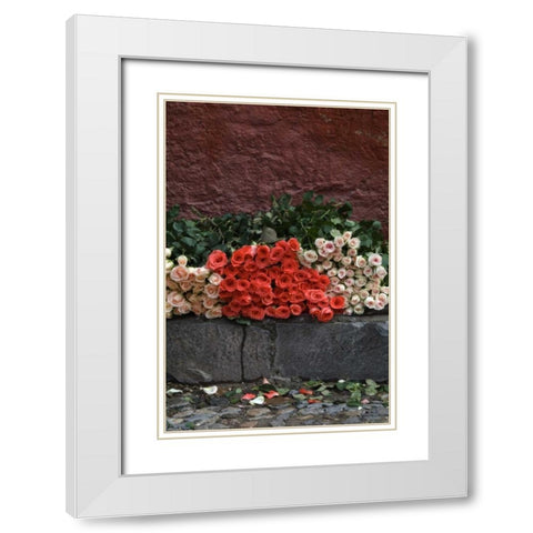 Mexico, San Miguel de Allende, Roses for sale White Modern Wood Framed Art Print with Double Matting by Rotenberg, Nancy