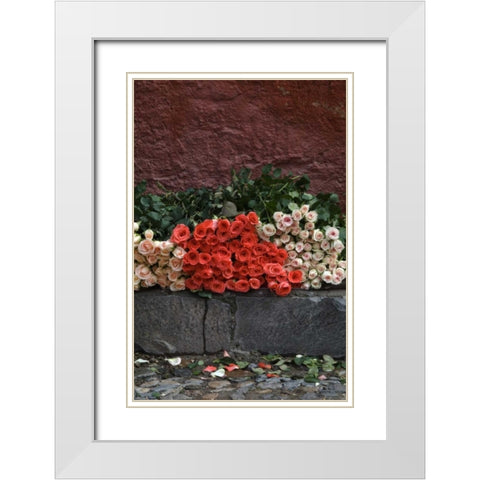 Mexico, San Miguel de Allende, Roses for sale White Modern Wood Framed Art Print with Double Matting by Rotenberg, Nancy
