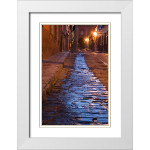 Mexico Streak of water on cobblestone street White Modern Wood Framed Art Print with Double Matting by Rotenberg, Nancy