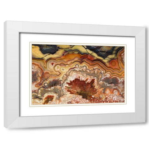 Mexico Close-up of Crazy Lace Agate stone White Modern Wood Framed Art Print with Double Matting by Kirkland, Dennis
