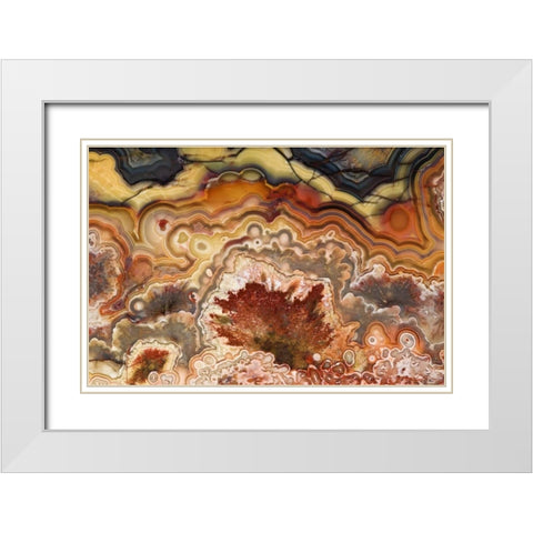 Mexico Close-up of Crazy Lace Agate stone White Modern Wood Framed Art Print with Double Matting by Kirkland, Dennis