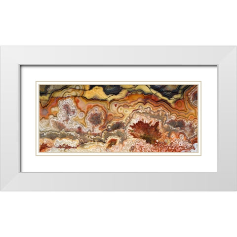 Mexico Close-up of Crazy Lace Agate stone White Modern Wood Framed Art Print with Double Matting by Kirkland, Dennis