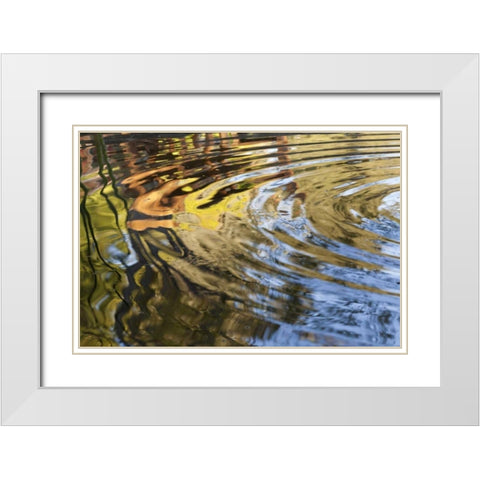Mexico, Tecate Ripples in pool White Modern Wood Framed Art Print with Double Matting by Paulson, Don