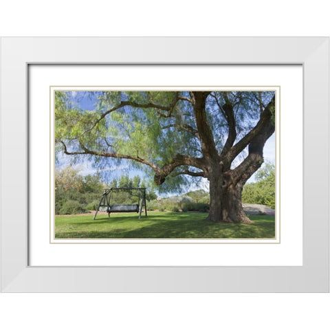 Mexico, Tecate Bench swing under large tree White Modern Wood Framed Art Print with Double Matting by Paulson, Don